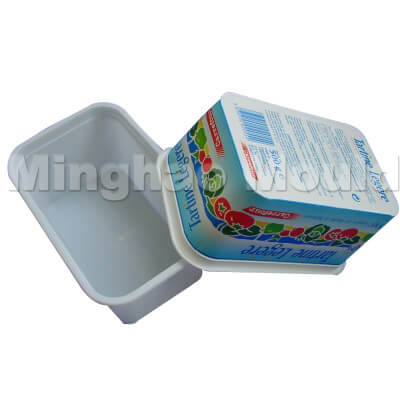 Ice Cream Box Mould 07