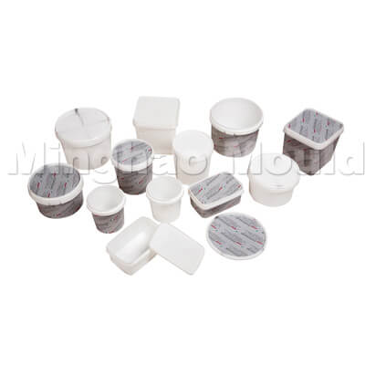 Ice Cream Box Mould
